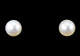 White Freshwater Pearl Gold Post Earrings