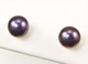 Peacock Freshwater Pearl Gold Post Earrings