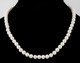 White Freshwater Pearl Necklace